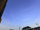 芙丽芳丝（Freeplus）洗面奶男女士生日520送男女朋友礼物氨基酸洁面乳150g 实拍图