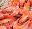 赶海弟 4XL淡干大虾干250g(约20-30只)烤对虾仁干 休闲零食南北干货 实拍图