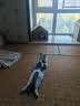 得酷（DEKU）猫抓板猫窝纸箱瓦楞纸窝空间纸壳封闭式透气猫咪磨爪玩具 中号原色猫屋 实拍图