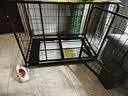 腆宠狗笼狗窝狗笼子大型犬中小型犬带厕所猫笼家用室内宠物笼子狗围栏 实拍图