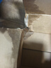 雅诗兰黛DW持妆粉底液17#1W1暖调偏白色30ml控油遮瑕化妆品礼盒生日礼物 实拍图