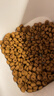皇家暹罗成猫 SM38 通用粮 12月以上 2KG 实拍图