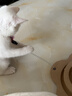 HELLOJOY猫抓柱剑麻猫抓板猫玩具耐抓耐磨不掉屑猫爬架立式自嗨解闷用品 实拍图