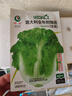 【亏本冲量】蔬菜种子四季播盆栽阳台庭院香菜生菜菠菜简单秋易种 油麦菜种子1包约1000粒 实拍图