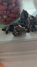 十月稻田 东北黑木耳 500g 干木耳 黑龙江东宁特产 肉厚无根 火锅煲汤炒菜 实拍图