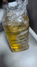 西王 食用油 玉米胚芽油6.18L 非转基因物理压榨 （新老包装随机发） 实拍图