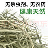 源物派兔子仓鼠提摩西草美国进口美提一番精挑杆叶均匀磨牙高纤维500g 实拍图