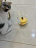 licheers猫玩具逗猫棒不倒翁猫咪玩具薄荷球幼猫猫咪自嗨解闷逗猫用品 实拍图