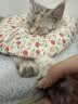 梵都宠舍加厚加绒可水洗保暖猫窝垫大号60cm猫咪适用四季通用冬季宠物垫子 实拍图
