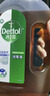 滴露（Dettol）消毒液洗衣衣物消毒水750mL 除螨杀菌混洗无忧 家居地板消毒 非84 实拍图