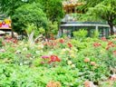 松下（Panasonic）Lumix G100D M43画幅相机 M43卡口 微单相机 无反数码相机 G100D单机+【25mmF1.7】单镜头定焦 实拍图