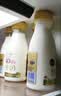 每日鲜语4.0-720ml*1+低脂4.0-720ml*3 实拍图