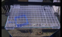 过凡（GUOFAN）鱼缸盖板防跳网透明黑白色网格板加密隔离网隔板底滤板水族箱底板 实拍图