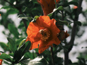 松下S5M2K+（50mm F1.8）白盒  双镜头套装 全画幅微单相机 约2420万有效像素 相位混合对焦 实拍图