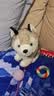 嘉百利 可爱仿真哈士奇公仔毛绒玩具小狗狗二哈玩偶小号娃娃女孩生日礼物女生送女友 Q版哈士奇 30厘米大号 实拍图