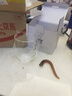 京红运真裸价·玻璃公道杯带过滤加厚耐热分茶器茶海茶具配件 实拍图