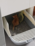汪野君养猫新手套装猫砂盆铲喂食喂水器绒布猫窝猫砂用品组合基础四件套 实拍图