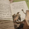 中国古代寓言+克雷洛夫寓言+伊索寓言（升级版）人教版快乐读书吧 三年级下册套装（共3册） 儿童节 实拍图