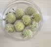 南同九坊南京同仁堂 西藏绿萝花茶100g 实拍图