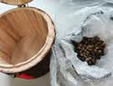 福茗源茉莉花茶 茉莉花茶龙珠 浓香2026新茶叶礼盒送长辈250g茶叶自己喝 实拍图