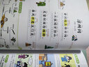 三张图搞定看图写话（全2册）小学一二年级同步教材作文起步扩句法写作技巧好词好句素材大全漫画范文辅导书 实拍图