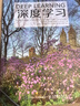 深度学习 deepseek教程(异步图书出品) 实拍图