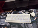 迈从（MCHOSE）Ace 68 V2磁轴键盘Gus同款RT电竞游戏低延迟60pro机械有线连接68键配列FPS双驱动无畏契约 Ace 68 电竞版 白色 蓝冰磁轴 实拍图