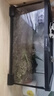Barbarous Growth玻璃爬缸蜥蜴蛇甲虫乌龟陆龟爬宠爬虫角蛙饲养箱盒专用缸鱼缸 BT-04(30*20*15) 实拍图