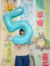 多美忆生日场景布置男孩儿童生日数字气球5岁氛围道具布置派对装饰蓝色 实拍图