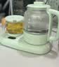 小熊（Bear）养生壶 煮茶壶 煮茶器 养生水壶 电烧水壶 保温全自动 家用办公用玻璃热水壶加热杯垫不锈钢滤网 天蓝色 0.8L 【养生壶套装】YSH-P08G7 实拍图