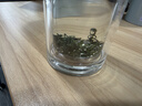 一杯香茶叶绿茶明前碧螺春250g2026新茶礼盒装送礼自己喝散装茗茶 实拍图