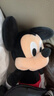 迪士尼（Disney）经典米奇米妮毛绒玩偶玩具大号公仔情侣结婚礼物压床娃娃生日礼物 米奇红色小号 实拍图
