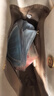 千百度（C.BANNER）包包女包水桶包轻奢单肩包斜挎链条挎包生日礼物高级感送女友老婆 实拍图