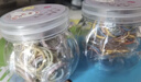 奇美拉（CHIMERA）2罐儿童橡皮筋不伤发头绳发饰小清新可爱发绳发圈女七夕节礼物 实拍图