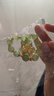 新款 好事花生福牌幸运手链小众设计气质百搭学生手串闺蜜礼物玻 S340花生手链 实拍图