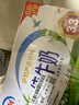 伊利【新鲜日期】纯牛奶250ml*24盒 优质乳蛋白 早餐奶礼盒装 2月产 实拍图