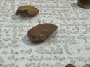 京东京造 鲜来多手剥巴旦木1kg每日坚果干果扁桃仁杏仁零食京东自营罐装 实拍图