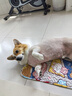 HELLOJOY四季宠物地垫狗狗垫子睡觉用猫咪睡垫夏天凉席狗窝笼子垫板用品 实拍图