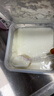 伊利经典凝酪酸奶 低温老酸奶家庭装原味 800g 风味发酵乳 实拍图