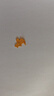 中国黄金（CHINA GOLD）黄金项链女足金独角兽小马吊坠挂坠套链生日礼物送女朋友老婆 足金吊坠约1.3g*配镀金银链【甄选礼盒】 实拍图
