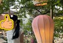 叩素新中式假发辫马尾女轻国风马尾假发抓夹古风汉服旗袍编发侧马尾辫 实拍图