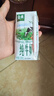 伊利【新鲜日期】金典纯牛奶整箱 200ml*12盒 3.6g乳蛋白礼盒装 2-3月 实拍图