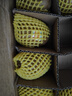 佳沛（zespri）新西兰 阳光金奇异果12粒特大果单果124-146g 猕猴桃水果礼盒 实拍图