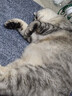 憨憨乐园狗猫零食冻干生骨肉网红猫爪饼干幼猫补充营养发腮猫粮冻干食品 实拍图