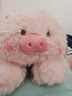 名创优品（MINISO）福莉丝猪系列趴姿公仔毛绒玩具玩偶抱枕娃娃生日礼物女 实拍图