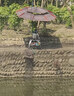 光威（GW） 鱼竿赤刃五六代台钓竿超轻超硬碳素钓鱼竿垂钓钓具用品调手竿 6.3m 赤刃六代 实拍图