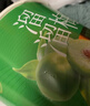 溜溜梅青梅分享桶460g西梅雪梅脆青梅果冻健康休闲零食团购礼包 实拍图