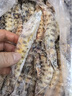 中水远洋进口塞拉利昂斑节虾活冻锁鲜海捕大虾净重2斤九节虾竹节虾40-60只 实拍图
