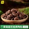 史丹利大号陶粒5L垫底养花专用花盆铺面多肉花卉种花陶土颗粒园艺陶粒土 实拍图