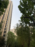 京东京造笔记本电脑支架平板散热器360°旋转无极升降折叠适用Apple小米联想拯救者便携悬空显示立式增高桌 实拍图